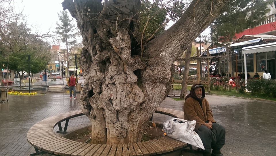 47075036_288819408641992_3163182622536892416_n