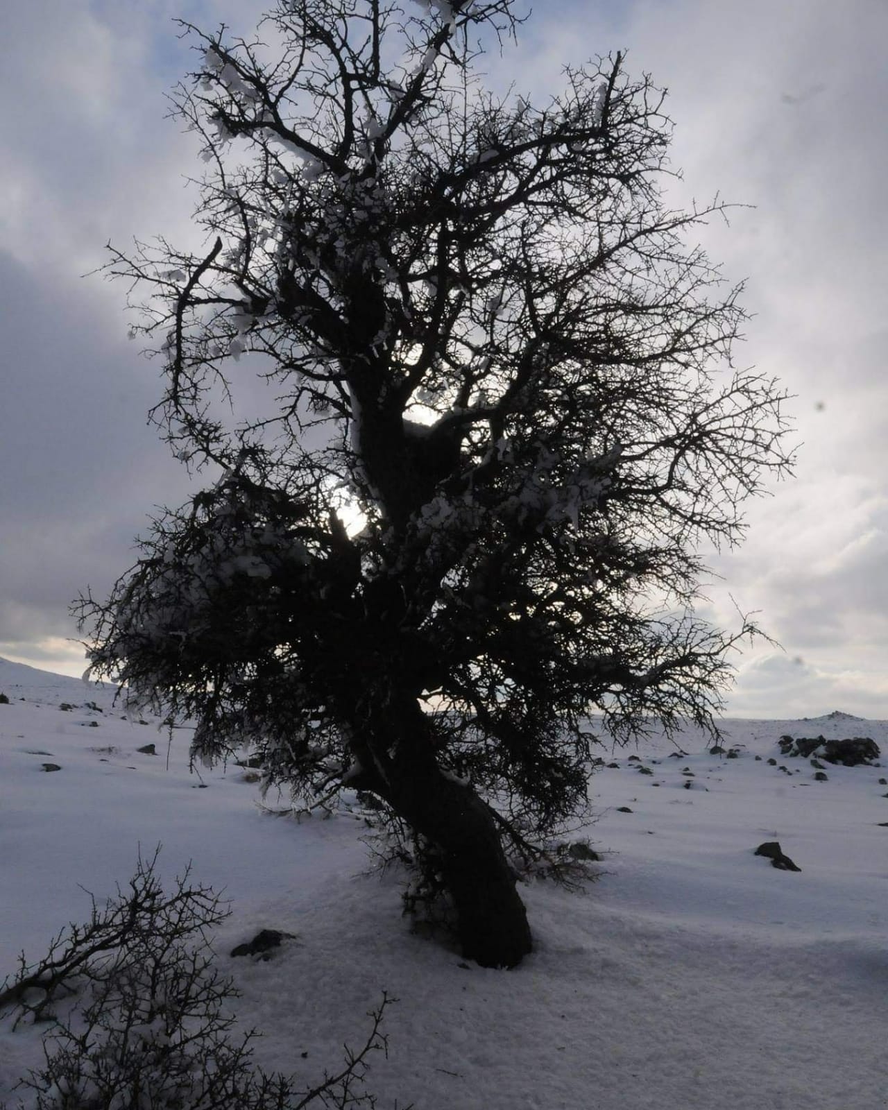 d027ea2a-5e53-4198-b4e1-afd0912570cd