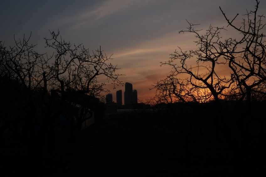 Fıstık Park/Antep Mart 2019