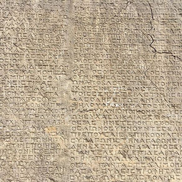 65389050_465193164057761_967900931377817175_n