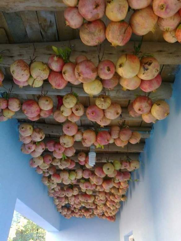 WhatsApp Image 2019-12-16 at 16.32.54