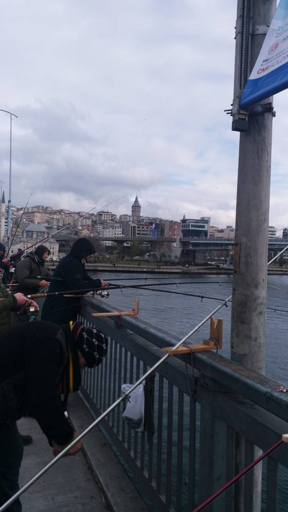 WhatsApp Image 2020-01-19 at 17.01.39